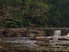 Bataille sur la rivière 