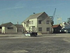 Autour des grues