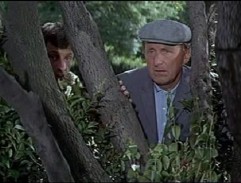 Surveillance derrière l'arbre