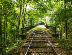 Le train sur le pont