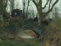 Un pont dans la forêt