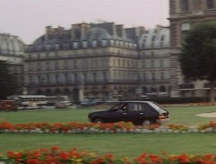 Renault dans le parc