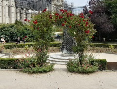 Professeur dans le parc