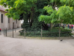 Dans le parc