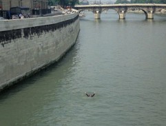 Dans la Seine