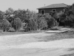 L'appartement au-dessus de l'écurie