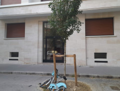 Devant l'hôtel de Fargier