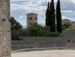 La tulipe noire