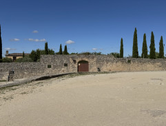 La tulipe noire