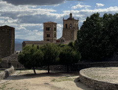 La tulipe noire