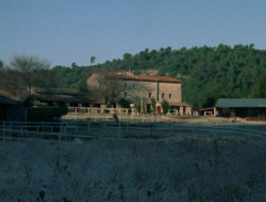 La ferme