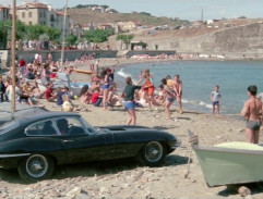 La jaguare sur la plage