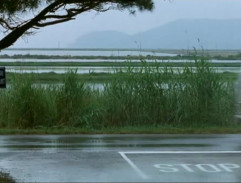 Le passager de la pluie