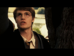 Les souvenirs de Severus Snape