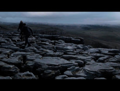 Harry et Hermione se sont transplanés