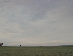 Une croix près de la route