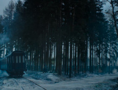 Le train sur la ligne de forêt