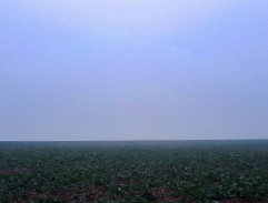 Une croix près de la route