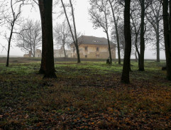 Une fosse dans la forêt