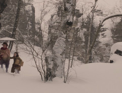 Chemin vers la maison de Monsieur Tumnus