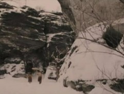 La maison de M. Tumnus